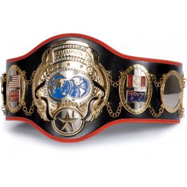 MMA Boxing Championship Belt
