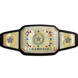 MMA Boxing Championship Belt